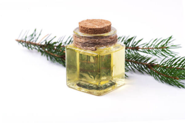 Istockphoto 2205220465 612x612